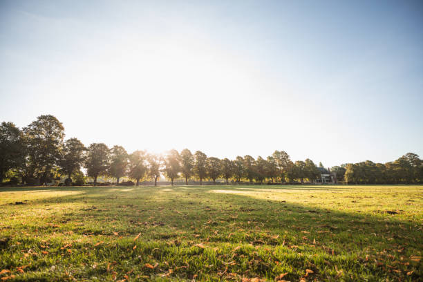 istock Park at Autumn time in United Kingdom 1176328154