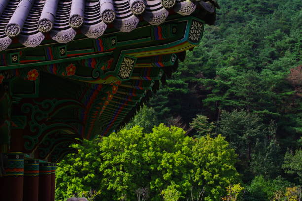 istock the scenery around Geumsan Temple in Jeongeup. 1176328352