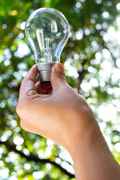 istock Woman's left hand holding lightbulb in bokeh garden background, Close up shot, Selective focus, Creative and Innovation concept 1176328686