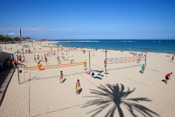 Barcelona, Catalonia, Spain - May 14, 2014: People playing volleyball on four courts at a beach on a sunny day by the Mediterrean Sea