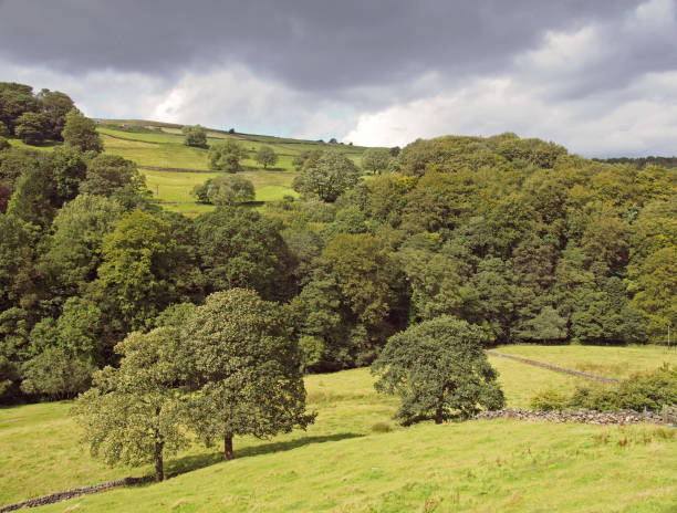 зеленый залитый солнцем пейзаж с горными полями вдоль покрытых деревом долине с серыми облаками в долине эльфин между скалами долине и mytholm - west yorkshire стоковые фото и изображения