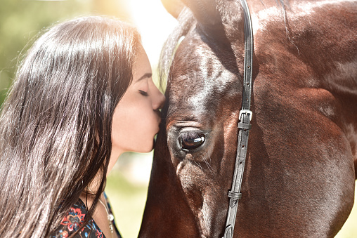 Horse and girl share an emotional moment in close up shot as they appear to kiss.