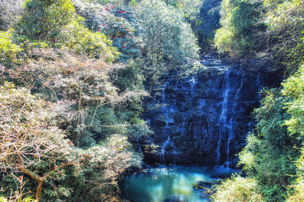 istock Elephant Falls, Shillong, Meghalaya, India 1176338513