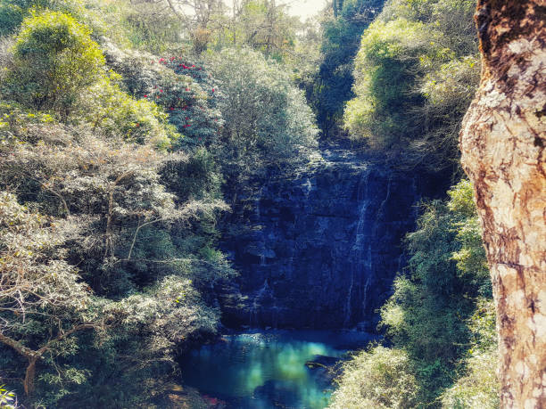istock Elephant Falls, Shillong, Meghalaya, India 1176339315
