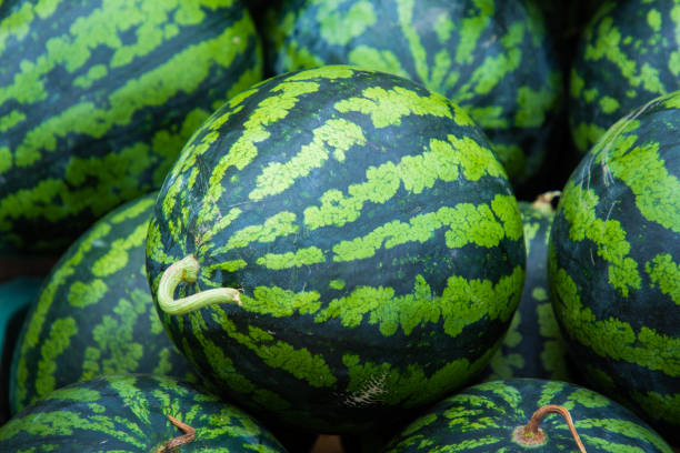 istock stacked watermelons in marketplace 1176342005