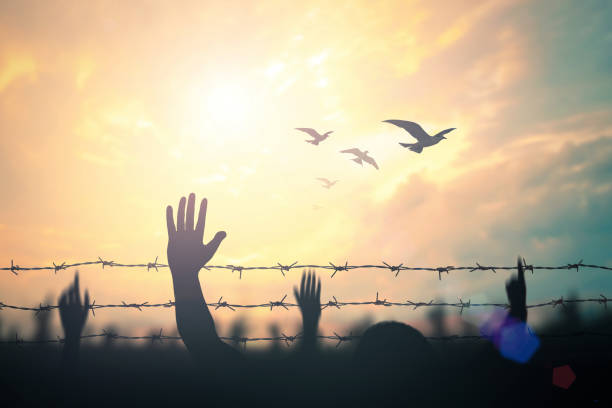istock International migrants day concept 1176347223