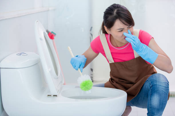 istock woman brush the toilet 1176349764