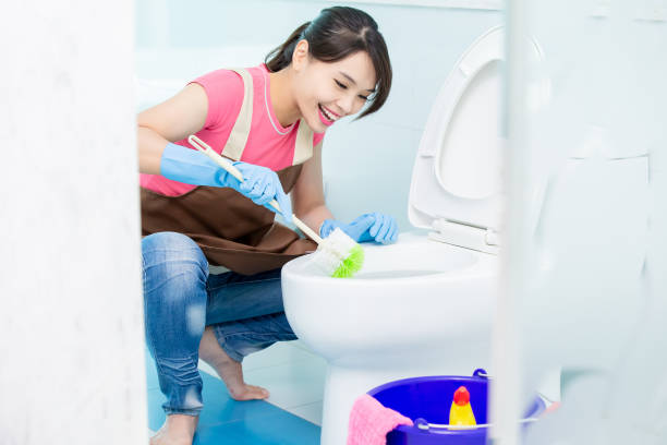 istock woman brush the toilet 1176350003