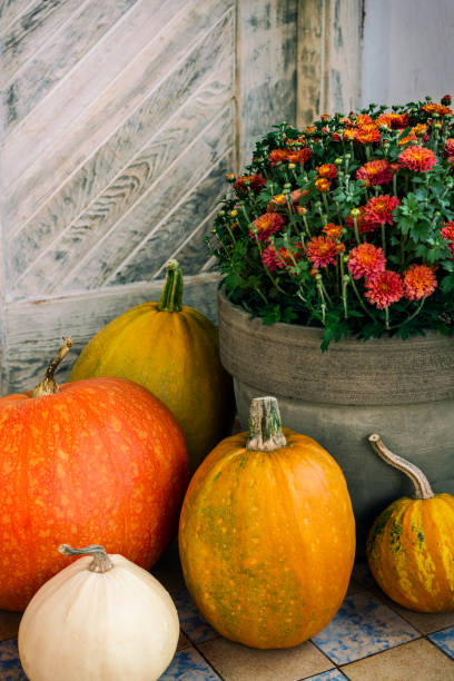 istock Thanksgiving decorated front door with various size and shape pumpkins and chrysanthemum. Front Porch decorated for the Halloween, Thanksgiving, Autumn season. 1176350051
