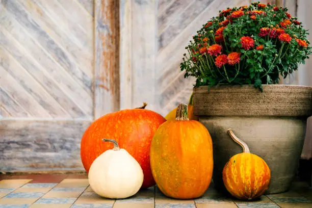 Photo of Thanksgiving decorated front door with various size and shape pumpkins and chrysanthemum. Front Porch decorated for the Halloween, Thanksgiving, Autumn season.