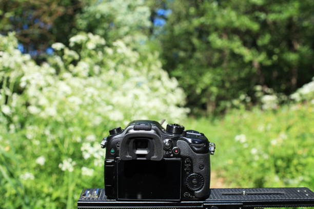 istock photographing nature camera in the foreground 1176350311
