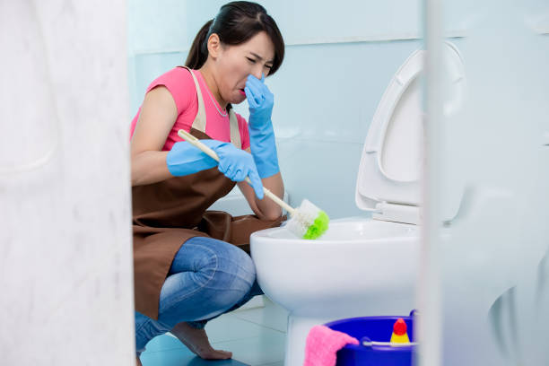 istock woman brush the toilet 1176352047