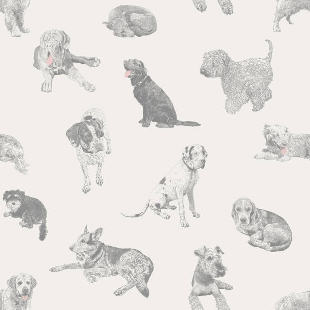 ilustrações de stock, clip art, desenhos animados e ícones de various dogs pets seamless repeat pattern - mixed breed dog illustrations