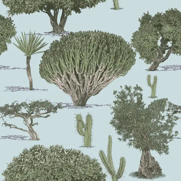 Vector illustration of Mediterranean Trees & Cacti