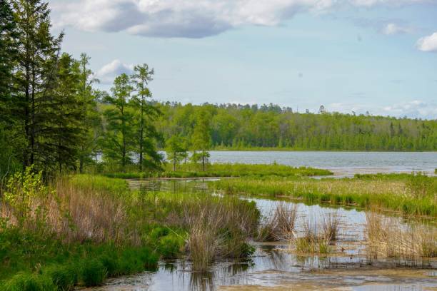 istock Tranquil scene at Lake Itasca in Minnesota 1176354996