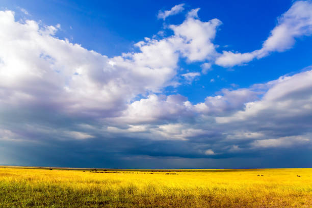 istock Gorgeous clouds pile up over savannah 1176357163
