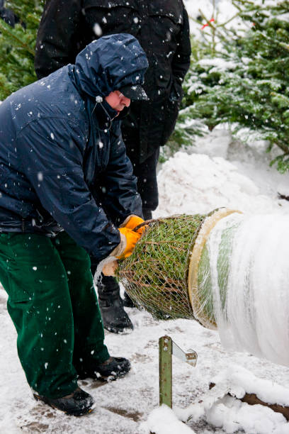istock Christmas tree salesman wrapping a Christmas tree 1176358494