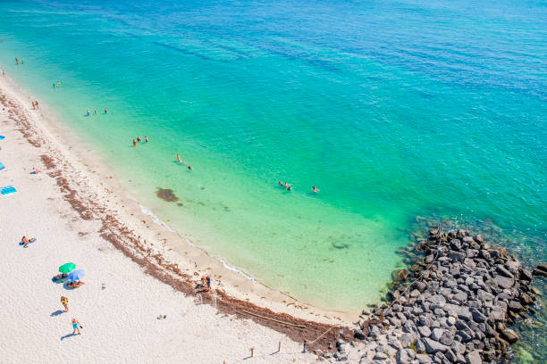 Top view of the sandy Atlantic beachfront of the Bill Baggs Cape Florida State Park, located in the southern Key Biscayne, Florida. People relaxing on the beach and in the water.