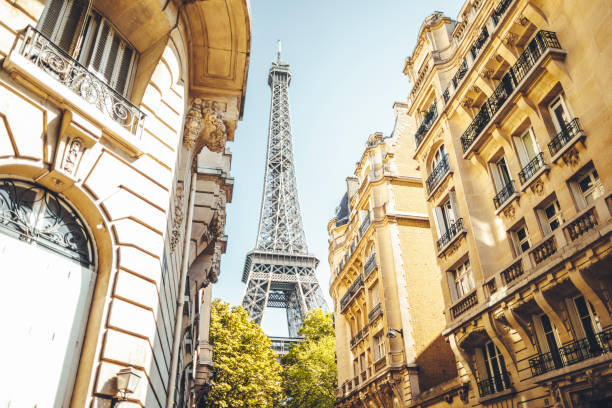 istock Cityscape of Paris 1176360272