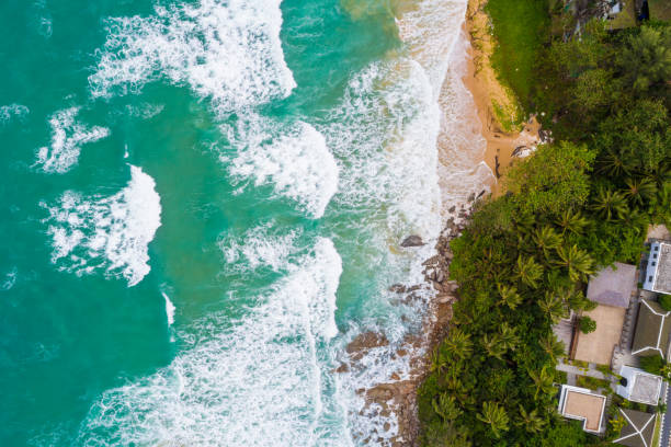 istock Aerial view of seabeach with wave and green tree 1176362410
