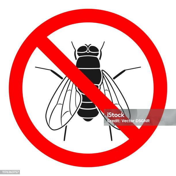 No Fly Sign Insecticide Symbol Vector Icon Stock Illustration - Download  Image Now - Fruitfly, Housefly, 'No' Symbol - iStock