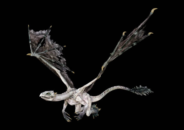 istock 3D illustration fantasy dragon on black 1176363798