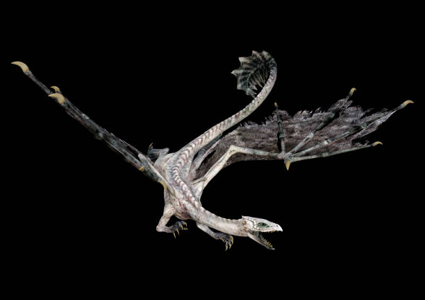 istock 3D illustration fantasy dragon on black 1176363801