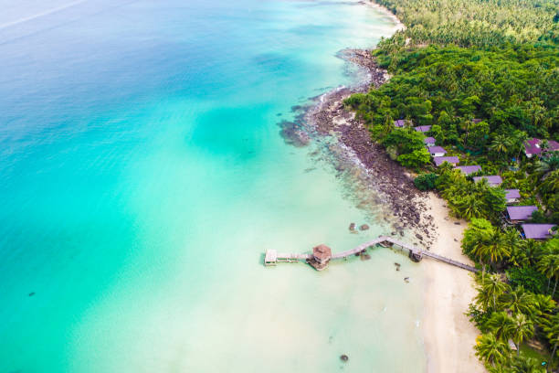 istock White sand beach clear turquoise sea water with coconut palm tree 1176363825