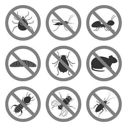 Pest control symbols. Icon set. Vector.