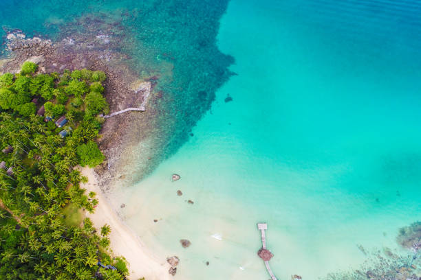 istock White sand beach clear turquoise sea water with coconut palm tree 1176363992