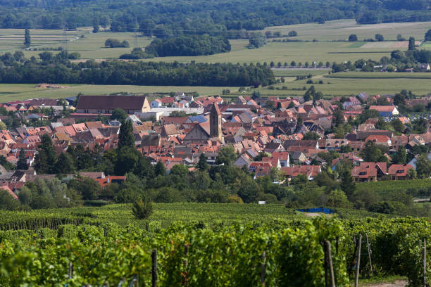istock the old town of Eguisheim 1176364928