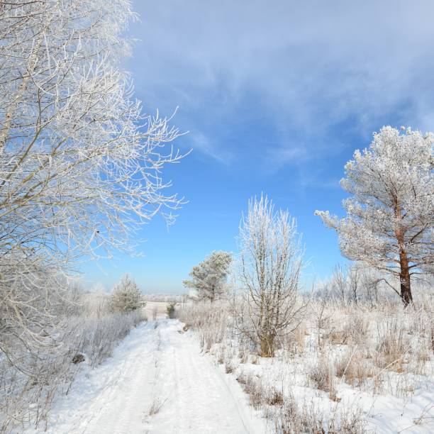 istock Road through snowcovered Russian countryside in winter 1176365026