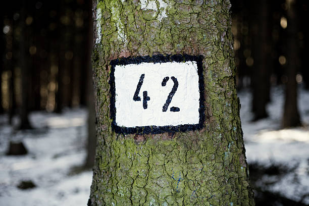 The answer  number 42 stock pictures, royalty-free photos & images