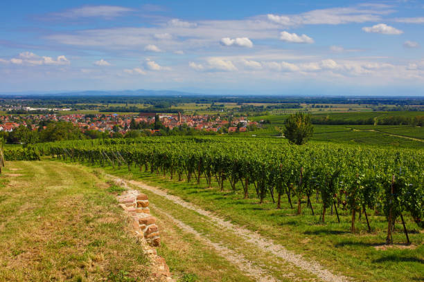 istock the old town of Eguisheim 1176367155