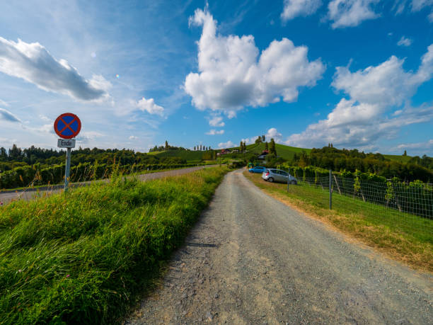 istock Vineyards in southern Styria, Austria 1176372473
