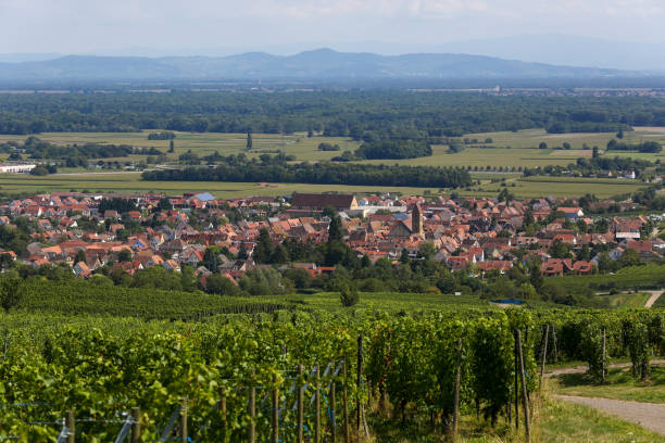 istock the old town of Eguisheim 1176372478