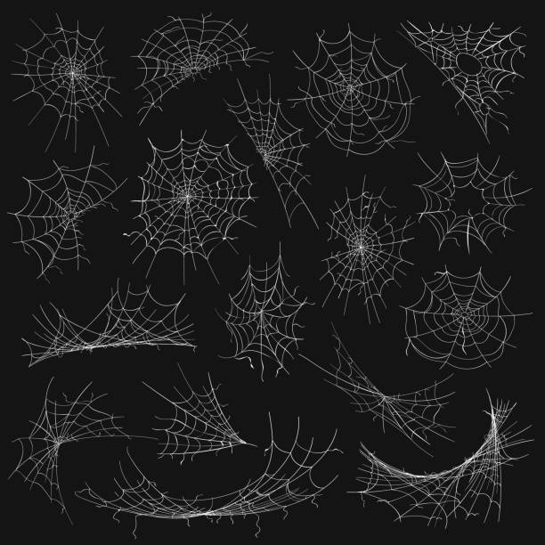 만화 할로윈 거미줄 - mesh netting metal black stock illustrations