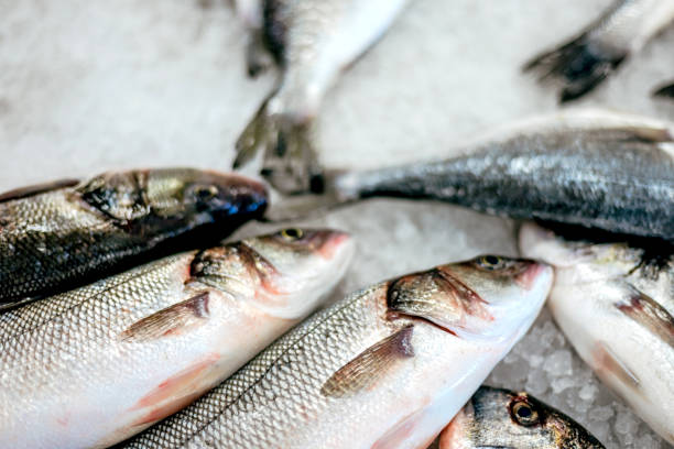 istock Fish on the morning market, fresh seafood on ice 1176374705
