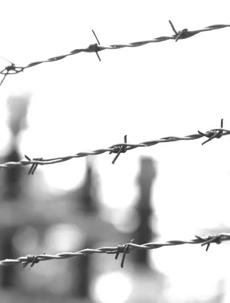 three dramatic lines of wire thrown into a prison camp with black and white tones