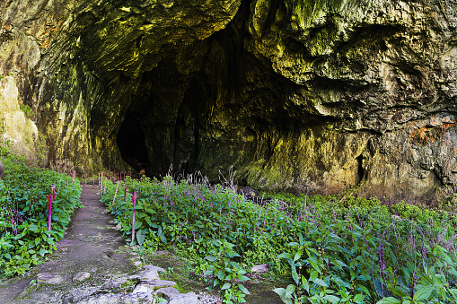 entrance in Unguru Mare cave, Apuseni mountains, Romania