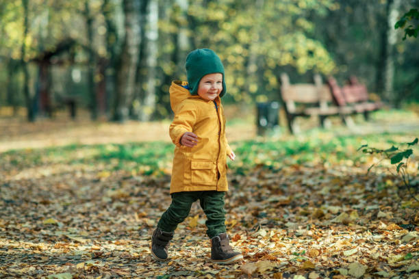 istock Little boy enjoying autumn park 1176378385