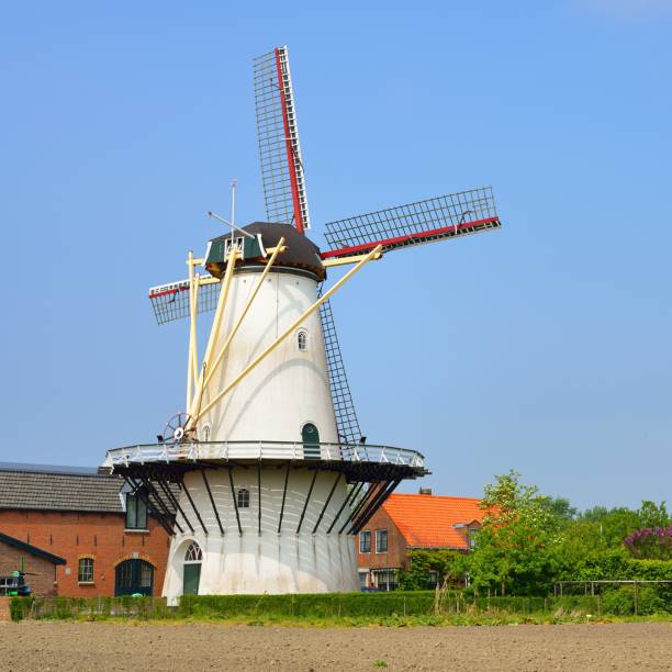 istock Classical Dutch landscape with a white windmill on a field against blue sky 1176380551
