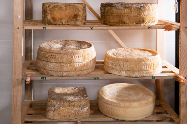 istock Forms of cheese on the shelf for maturing 1176381697