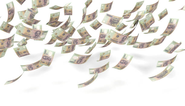 istock A bunch of dong bills falling from the sky 1176381753