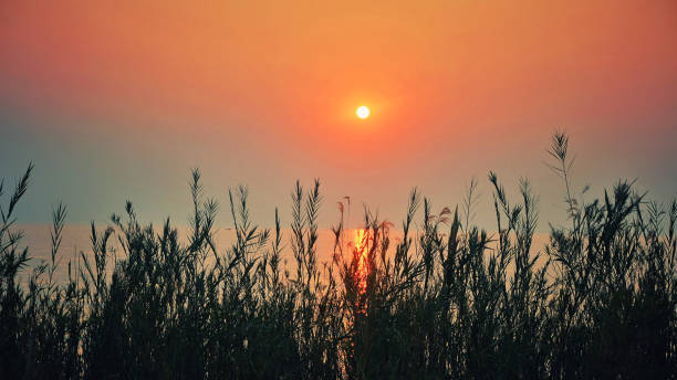 istock Beautiful sunset over Lake Malawi 1176383222