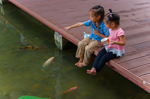 Little kids look at the water and feeding fishs on the wooden bridge.  High resolution image gallery.