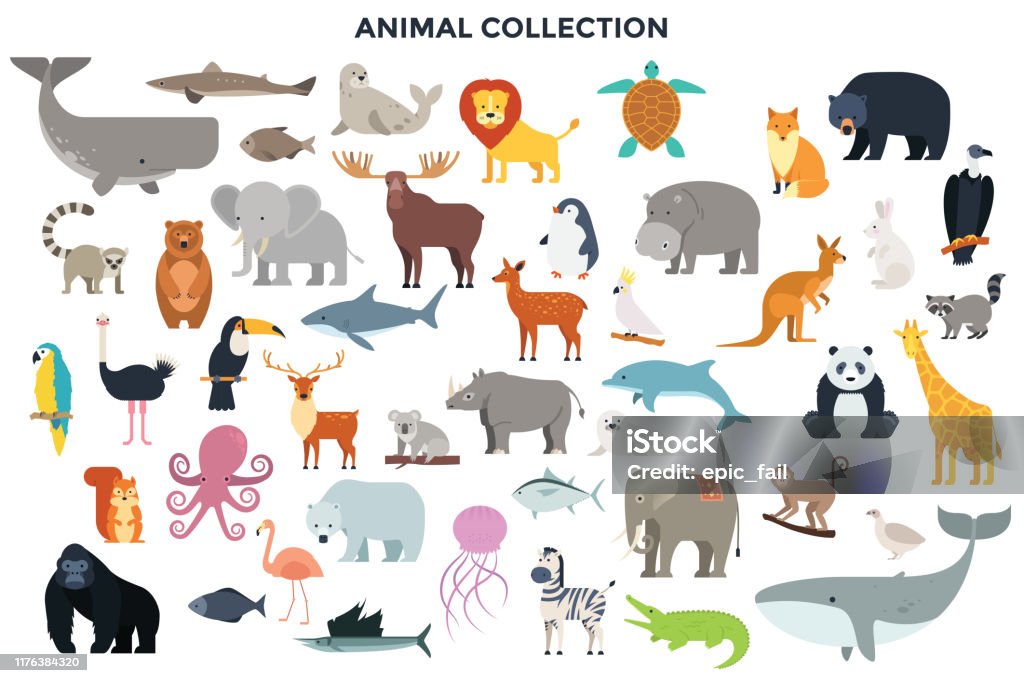 Big Collection Of Wild Animals Stock Illustration - Download Image Now -  Animal, Hippopotamus, Rhinoceros - iStock