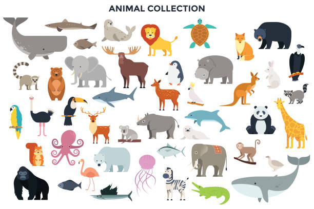 Big collection of wild animals Big collection of wild jungle, savannah and forest animals, birds, marine mammals, fish. Set of cute cartoon characters isolated on white background. Colorful vector illustration in flat style. animals stock illustrations