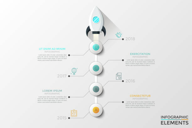 moderne infografik vektorvorlage - vier tiere stock-grafiken, -clipart, -cartoons und -symbole