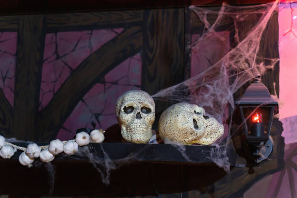 istock Still life of two skulls on a shelf with a bundle of garlic 1176385518